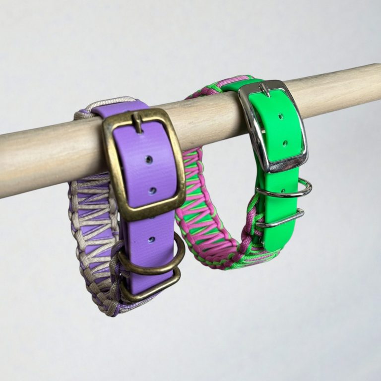 Collier en biothane habillé d'un tressage en paracorde