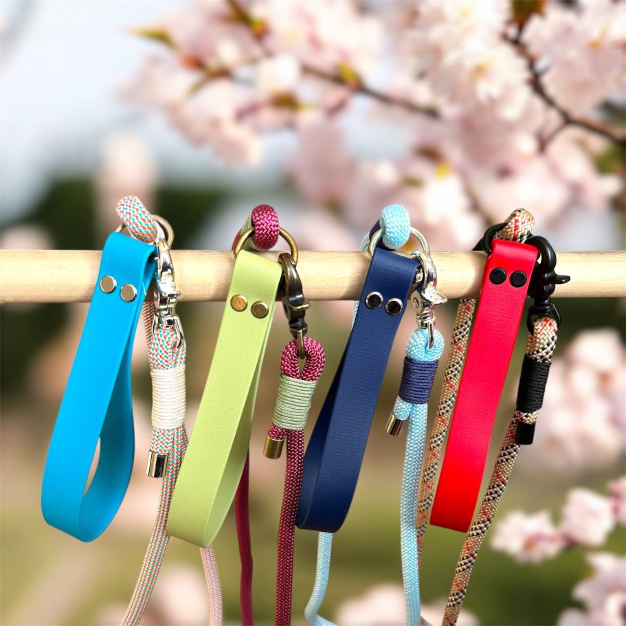 Laisses en paracorde avec poignées en biothane