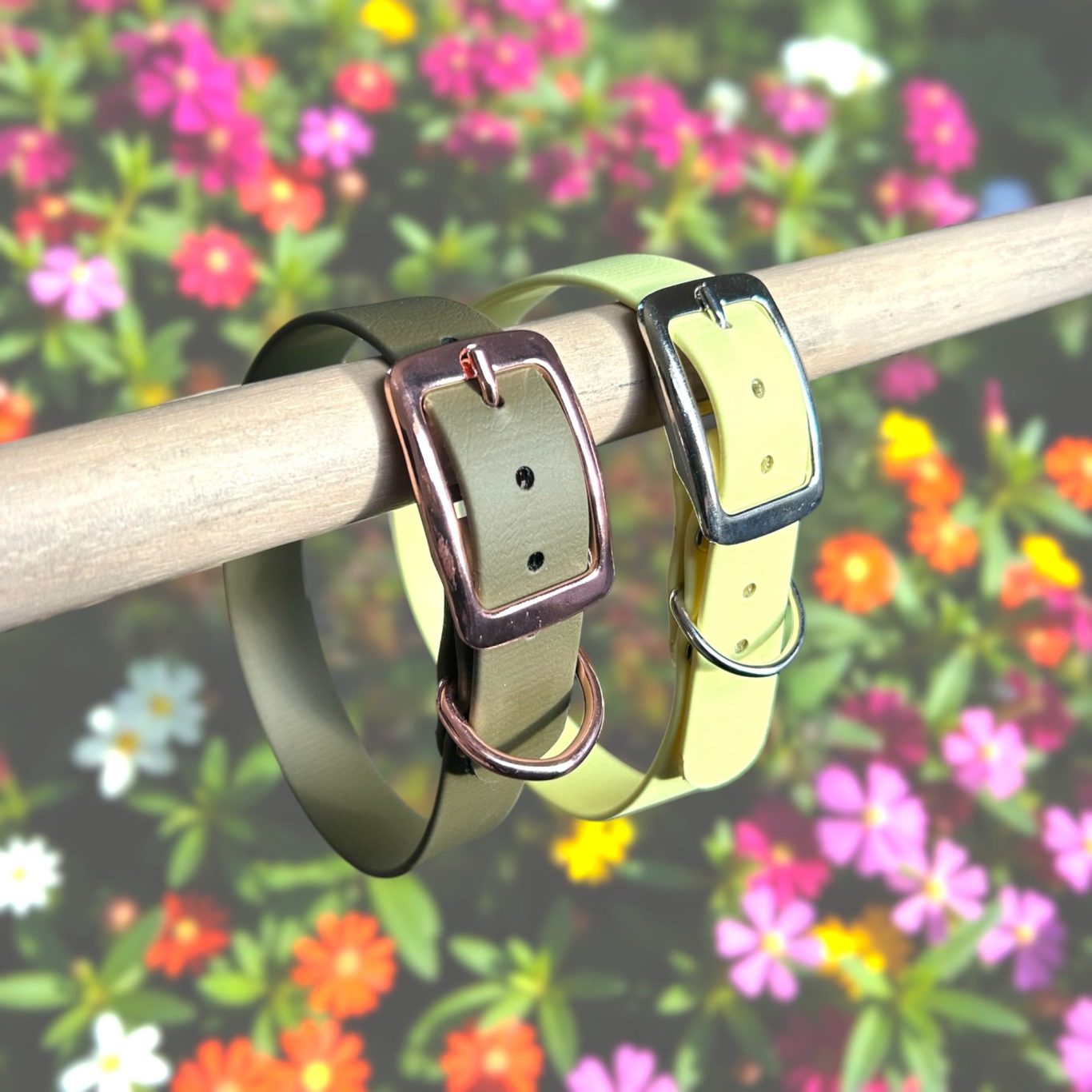 Deux colliers en biothane, l'un et jaune pastel et l'autre vert olive